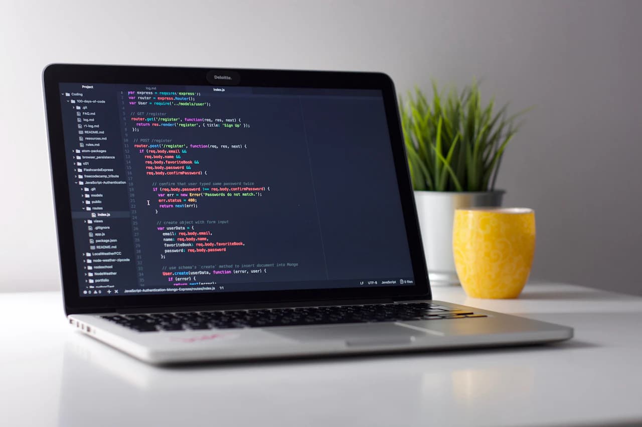 Developer running pre-deployment verification, type checks, and staging tests before release